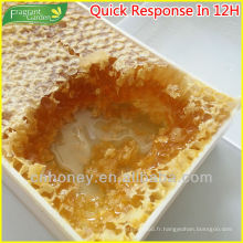 Nature 100% pur boîte en plastique emballage peigne miel